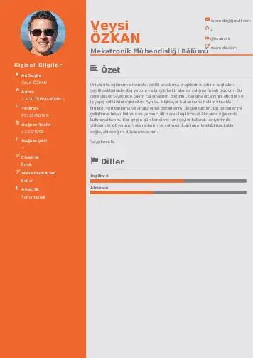 Mekatronik Mühendisliği Cv Örnekleri cv indir